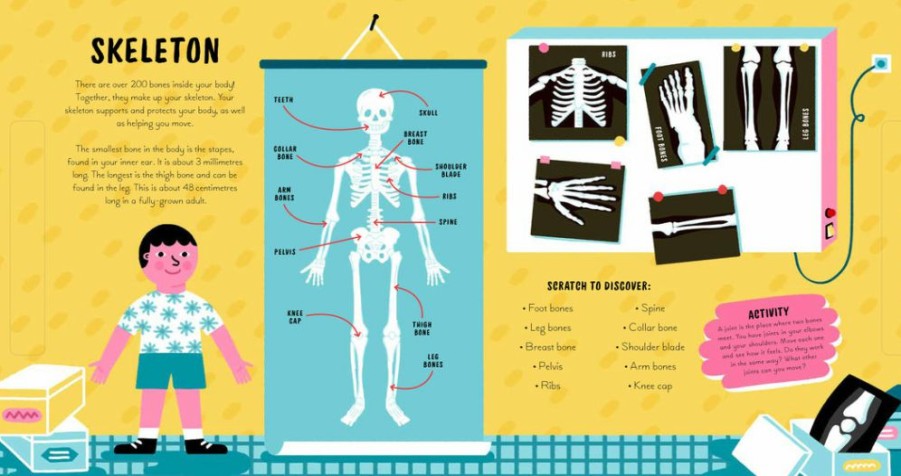 Gifts * | Bookspeed Human Body (Scratch And Learn)