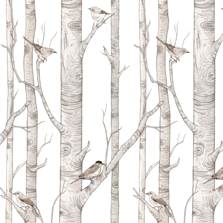 Kids Interiors & Decor * | Dekornik Birch Forest Wallpaper Kids Wallpaper