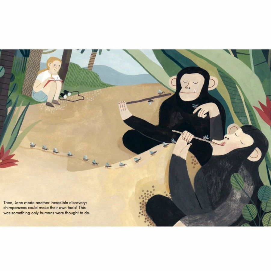 Gifts * | Little People Big Dreams Jane Goodall